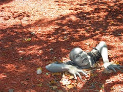 man sinking in leaves