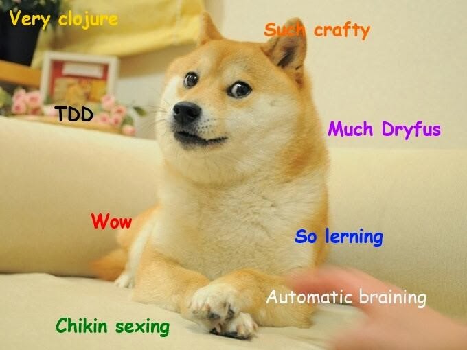 much scna, very shibe, such doge, wow